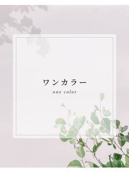 ディーネイル(Dnail)/ワンカラー