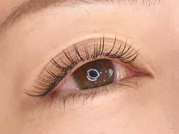 リノ(Lino)/フラットラッシュ