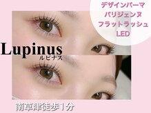 ルピナス(Lupinus)