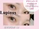 ルピナス(Lupinus)の写真