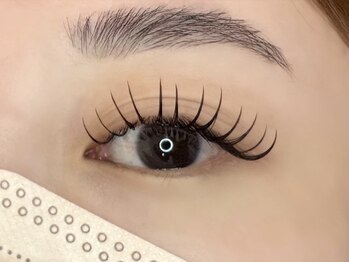 ルピナス 川口(Lupinus)/フラットラッシュ180本