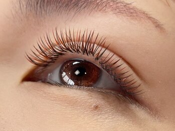 バタフライ 茅ヶ崎店(Butterfly)/ロイッシュカラー150束