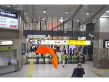 大川カイロプラクティックセンター にしおぎ整体院/