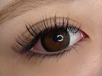 ラヴィアスプラス(LAVIAS+)/上下エクステ