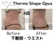 アネラ(ANELA)の写真