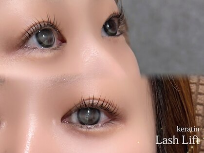 ディッチャ(Dicha)の写真