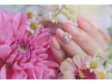 5月定額デザイン