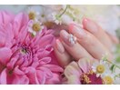 5月定額デザイン