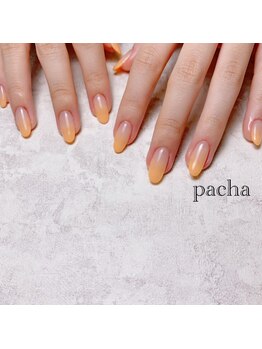 パシャ(Pacha)/グラデーション