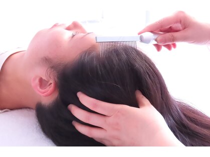 アンリュサックルの写真