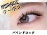 【期間限定】キレイ長持ち バインドロック100束 ¥9680→8690