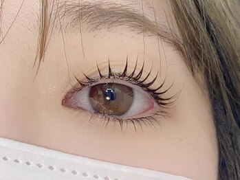 ベルポ(Bellpo)/まつ毛パーマ上下