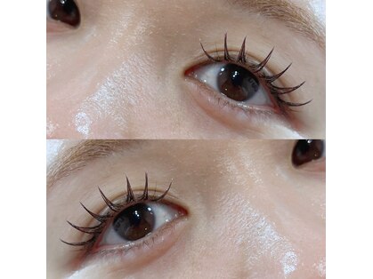 ミイアイラッシュ(mii eyelash)の写真