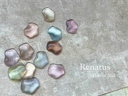 レナトゥス(Renatus)の写真