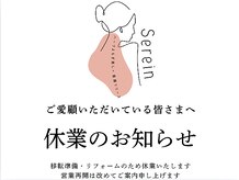 セレイン(Serein)