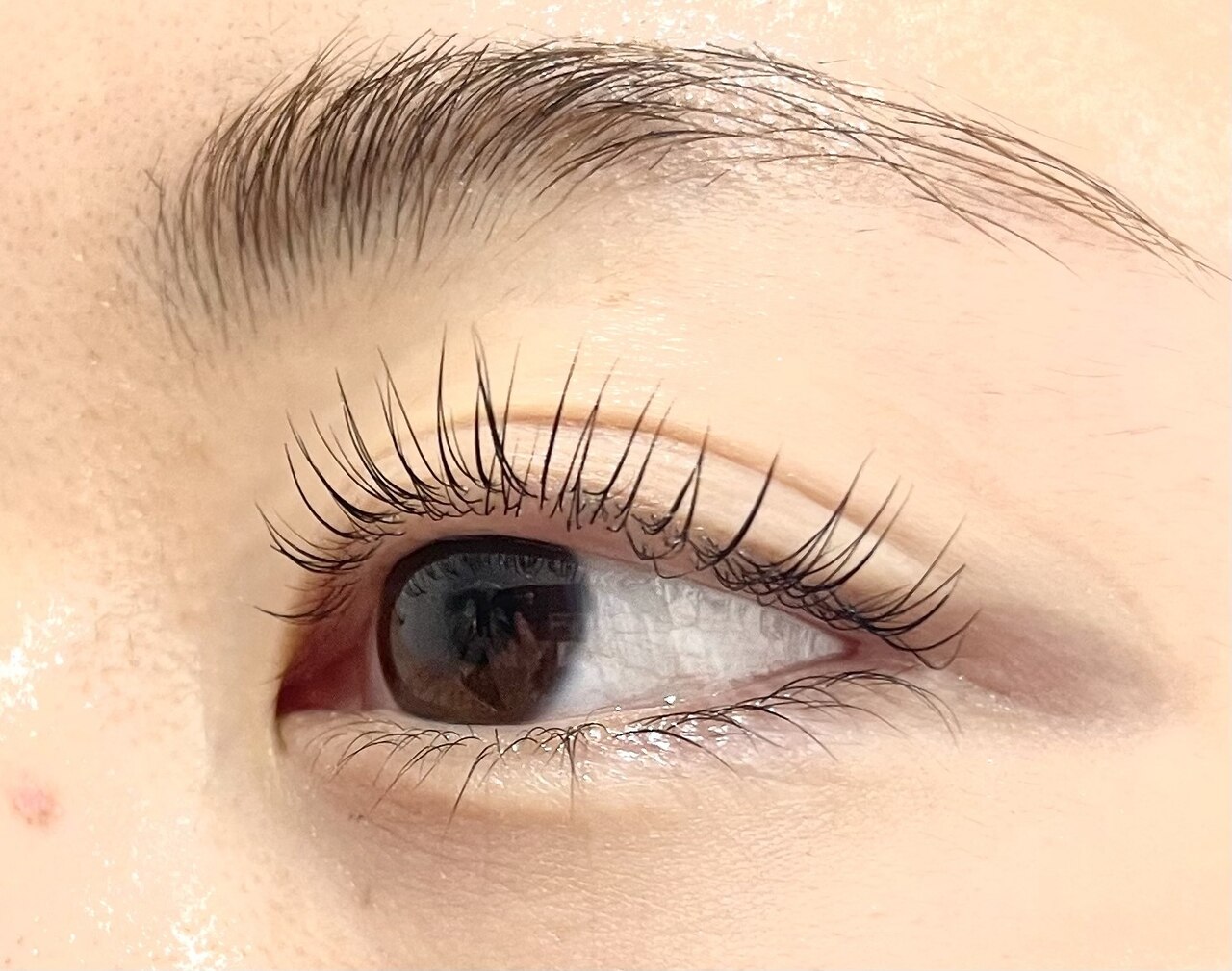 【シャンプー&トリートメント付】ラッシュリフト（まつげパーマ）☆\5,300-