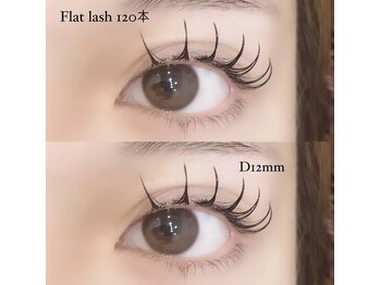 フーフロー(Fooflow)/フラットラッシュ120本