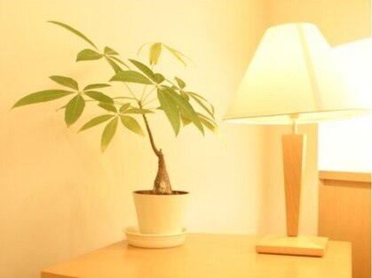 ナチュラルガーデン 川西阪急スクエア店(Natural Garden)の写真