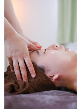 ガーベラ(Gerbera)/