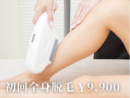 ダリア(DAHLIA)の写真