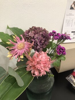 サロンドメネラ(salon de menera)/