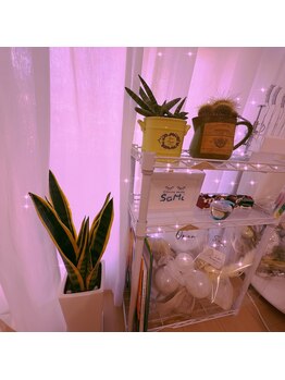 サミ 岸和田(SaMi)/わたしの癒しの観葉植物たち~*