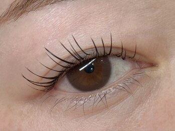 メメ(MEME)/LEDフラットラッシュ80本