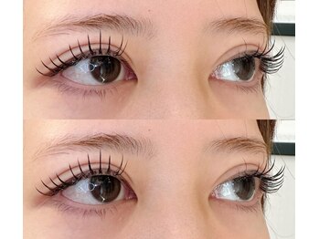 ネオリーブサイン(Neolive sign)/フラットラッシュ140本