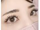 ディア リリー(Dia Lily.)の写真