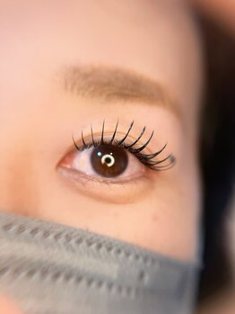 プラウ(Plau)/フラットエクステ