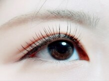 ハーゼ(Hase)/Flat Lash 80本