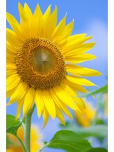 リラクゼーションマッサージ まんてん 北一条店&nbsp;まんてん リクルート