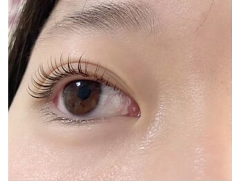 アイラッシュサロン ミューズ(Eyelash Salon Muse)/くるっとカール