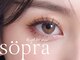 ソプラ 四条大宮店(sopra)の写真/クルンと上向きまつげ×透けるような明るい瞳で視線をクギヅケ☆【まつげパーマ¥2900/パリジェンヌ¥3900】