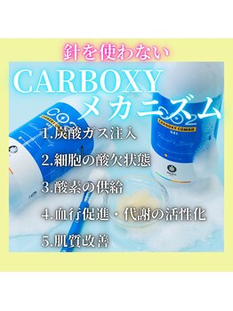 ハニエル(Haniel)/国内最高炭酸濃度カーボキシー