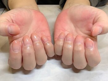 リッチオ(Riccio)/グラデーション