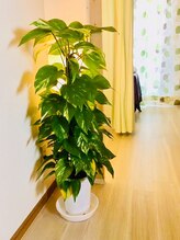 足もみサロン ループ(LOOP)/観葉植物のある明るい綺麗な店内