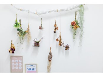 エヌスタイル(N-STYLE)/