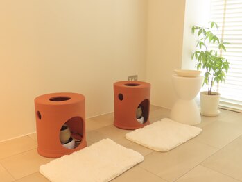 カロン 銀座(Kalon)/Asuca製100%黄土座器