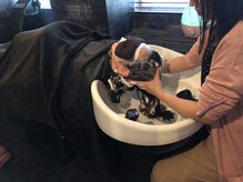 ハルモニア(Harmonia)/マッサージシャンプー！