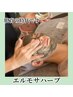 【肌質改善】たるみ/毛穴/シミケア/気になる方◎エルモサハーブピーリング ☆