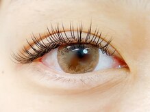 ニジュウバンチ クダマツ(20Banchi Kudamatsu)/フラットラッシュ120本