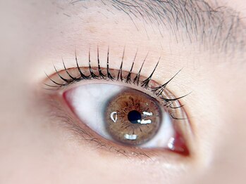 プリズムアイ(Prism eye)/目力は上下のまつ毛でGetする☆