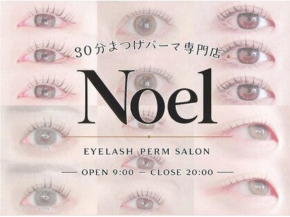 ノエル(30 Noel)の写真