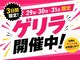 エリクサー 加須店(Elixir)の写真