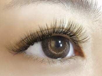 ブレア(Blair)/ラッシュシャドウ・foggybrown