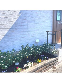 リーフ(LEAF)/店頭の花壇