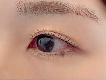 ディアウーマンアイラッシュ(Dear Woman Eyelash)/デザインまつげパーマ