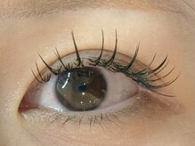 メメ(MEME)/LEDフラットラッシュ120本