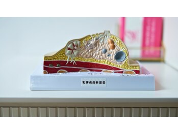 エミュボディ 青山本店(emu body)/乳房リリースで乳房組織を健全化